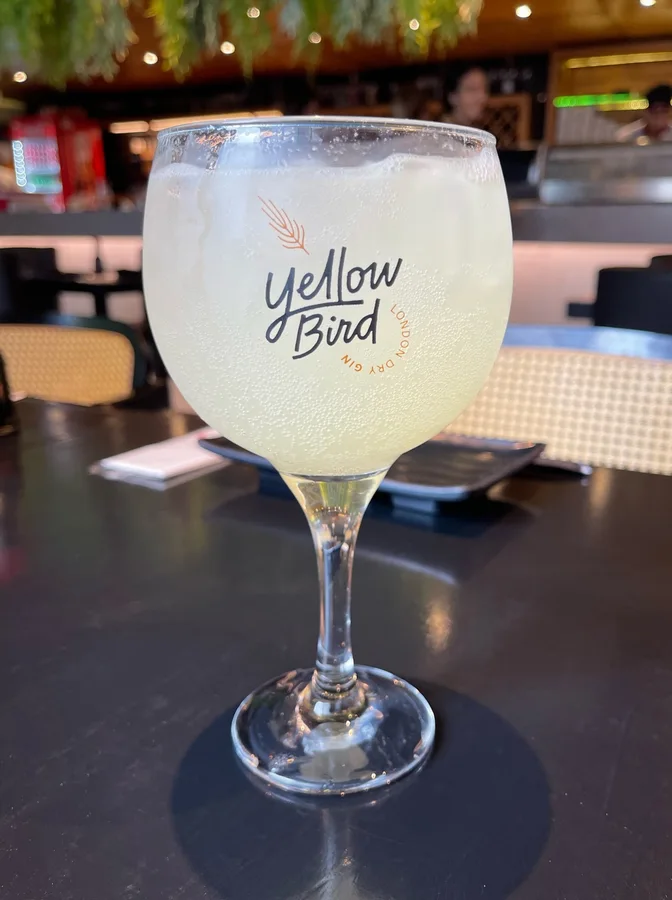 Gin tônica